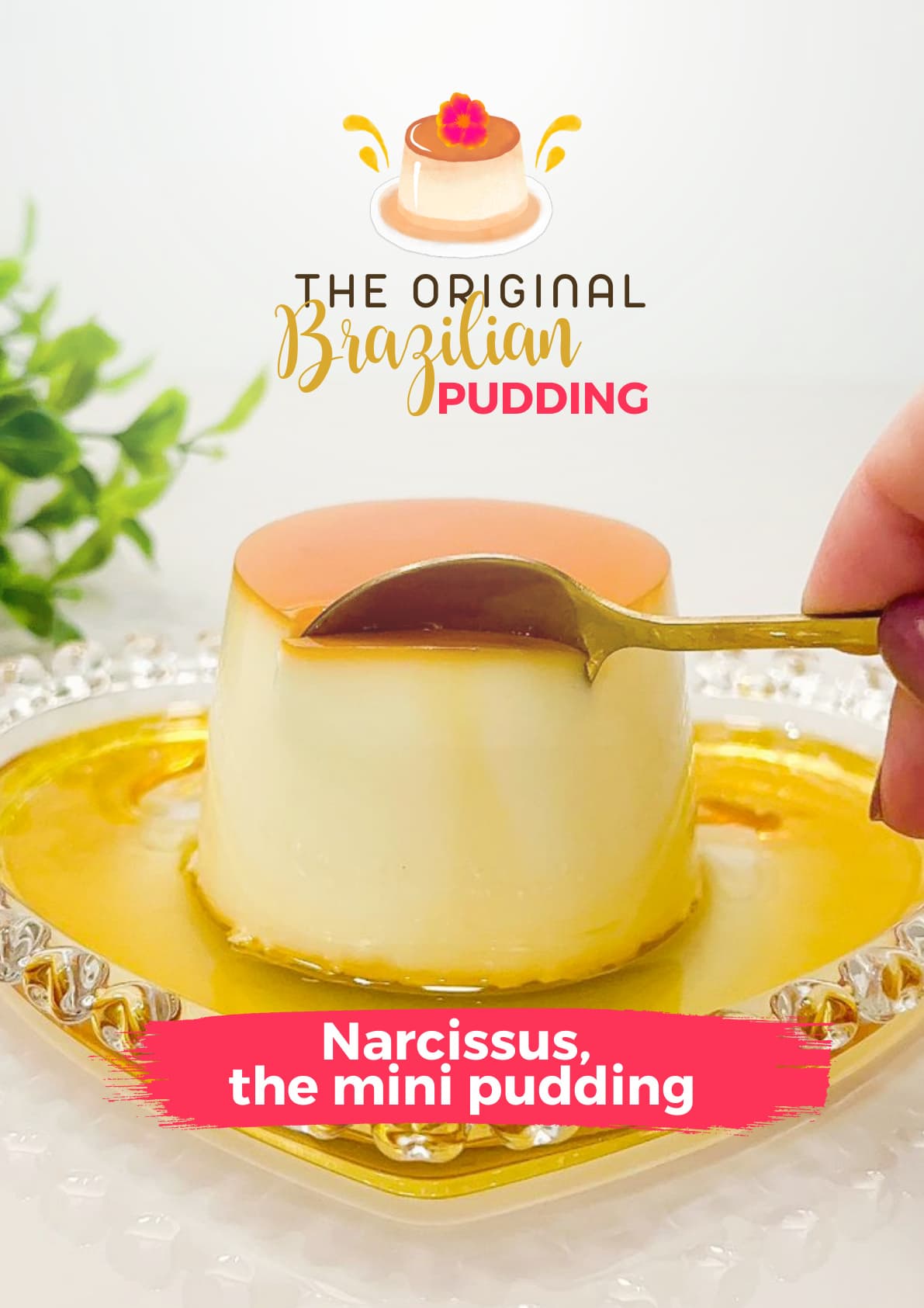 Narciso Pudding — Tamaños y Rendimientos
